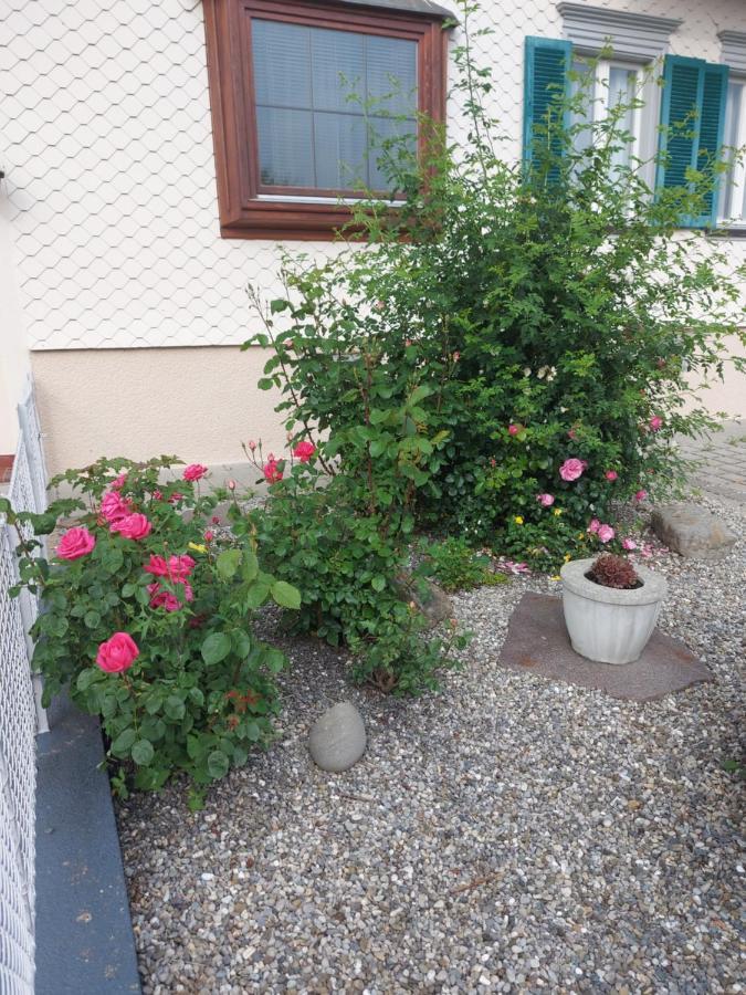 Ferienhaus Und Ferienappartements Brunner ヘーヒスト エクステリア 写真