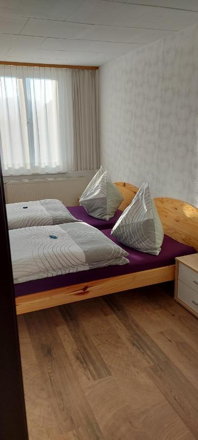 Ferienhaus Und Ferienappartements Brunner ヘーヒスト エクステリア 写真
